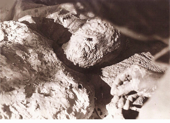 Julia_The Exhibition_Plastic Arts_32.jpg