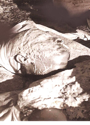 Julia_The Exhibition_Plastic Arts_67.jpg