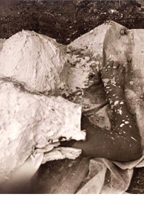 Julia_The Exhibition_Plastic Arts_69.jpg