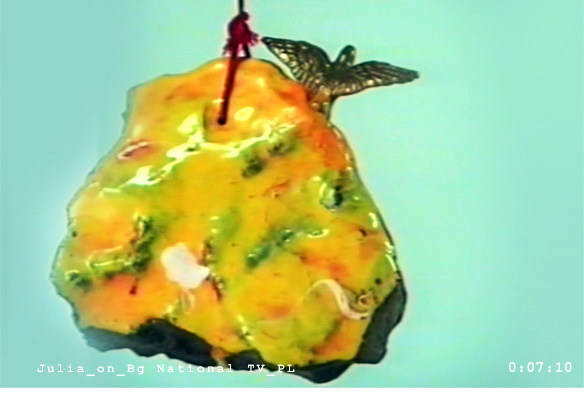 Julia_objects_1_Bg National TV_PL 0_07_10.jpg