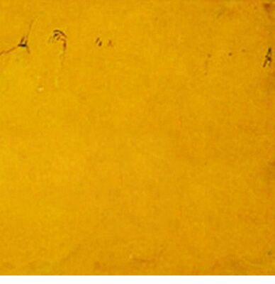 Julia_painting_24_southern wind on deck 100x100.jpg