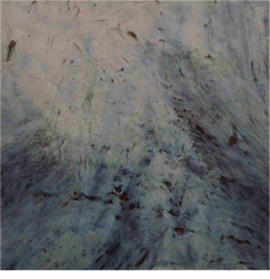 Julia_painting_81_2_my ears are of a dated version 46x46.jpg