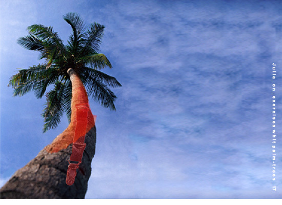 Julia_on_exercises whit palm-trees_18.jpg